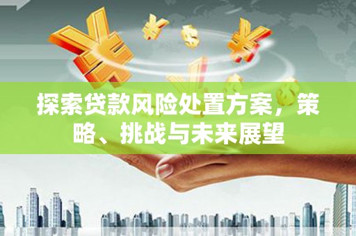 龙沙探索贷款风险处置方案，策略、挑战与未来展望
