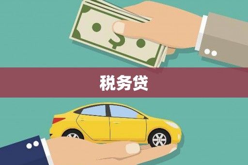 龙沙税务贷