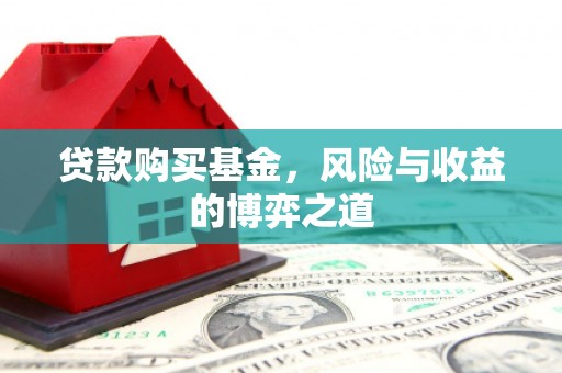 龙沙贷款购买基金，风险与收益的博弈之道