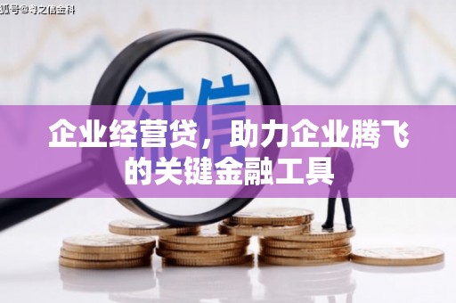 龙沙企业经营贷，助力企业腾飞的关键金融工具