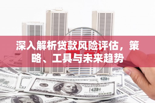 龙沙深入解析贷款风险评估，策略、工具与未来趋势