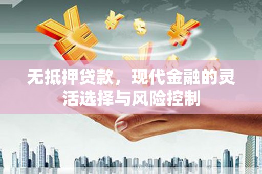 龙沙无抵押贷款，现代金融的灵活选择与风险控制
