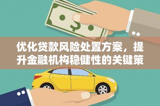 龙沙优化贷款风险处置方案，提升金融机构稳健性的关键策略