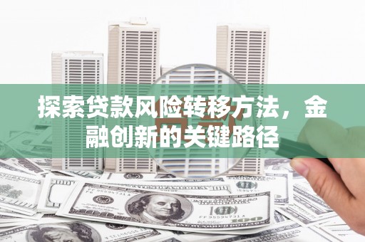 龙沙探索贷款风险转移方法，金融创新的关键路径