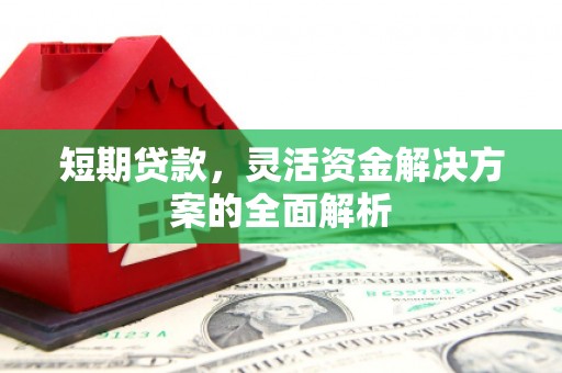 龙沙短期贷款，灵活资金解决方案的全面解析
