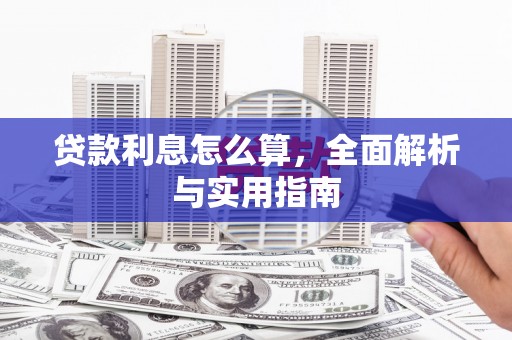 龙沙贷款利息怎么算，全面解析与实用指南
