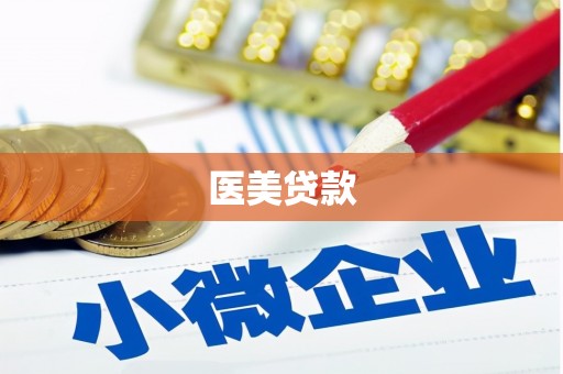 龙沙医美贷款