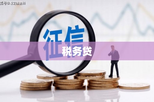 龙沙税务贷