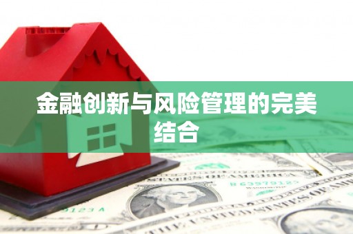 龙沙金融创新与风险管理的完美结合