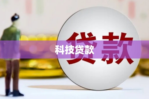 龙沙科技贷款