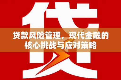 龙沙贷款风险管理，现代金融的核心挑战与应对策略