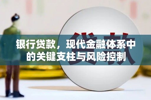 龙沙银行贷款，现代金融体系中的关键支柱与风险控制
