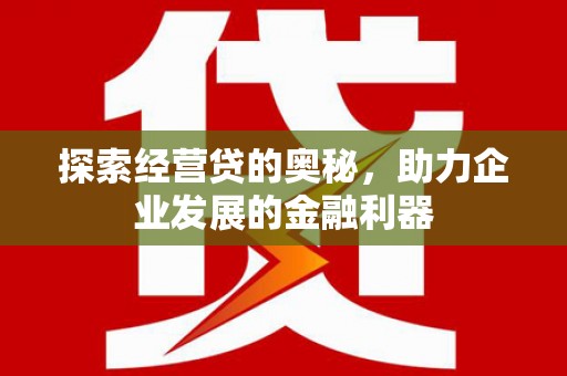 龙沙探索经营贷的奥秘，助力企业发展的金融利器