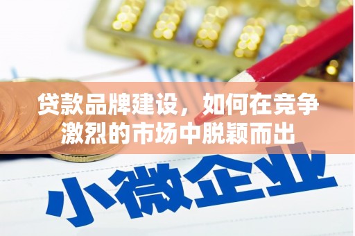 龙沙贷款品牌建设，如何在竞争激烈的市场中脱颖而出