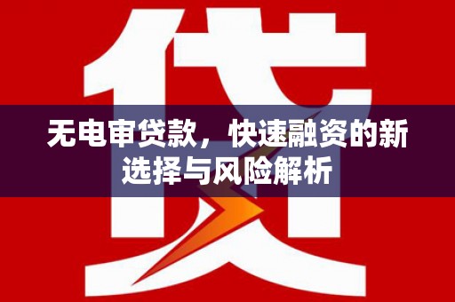 龙沙无电审贷款，快速融资的新选择与风险解析
