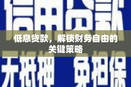 龙沙低息贷款，解锁财务自由的关键策略