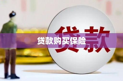 龙沙贷款购买保险