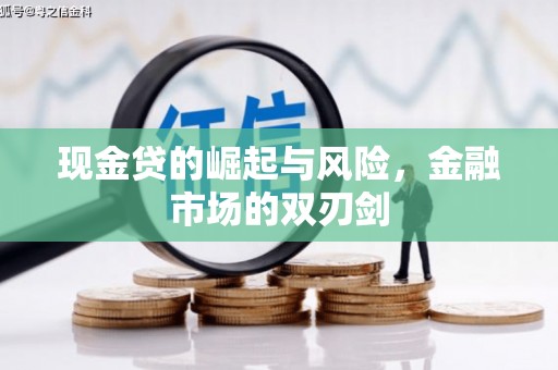 龙沙现金贷的崛起与风险，金融市场的双刃剑