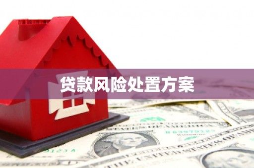 龙沙贷款风险处置方案