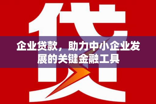 龙沙企业贷款，助力中小企业发展的关键金融工具