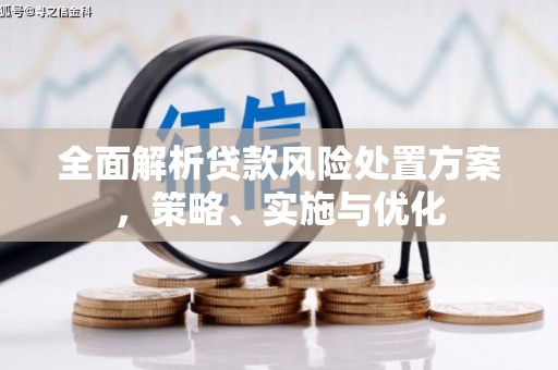 龙沙全面解析贷款风险处置方案，策略、实施与优化