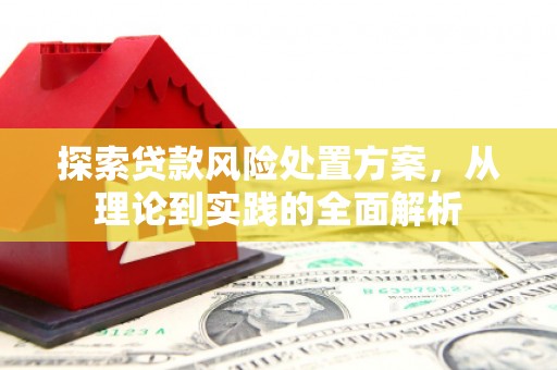 龙沙探索贷款风险处置方案，从理论到实践的全面解析