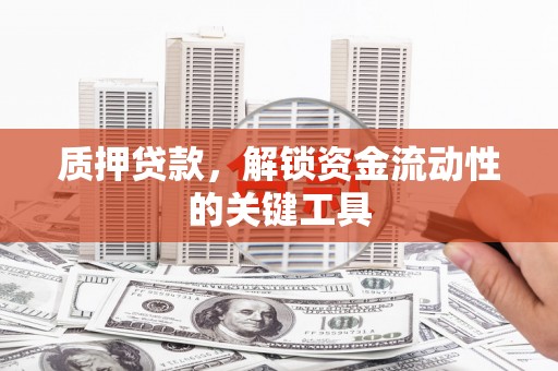 龙沙质押贷款，解锁资金流动性的关键工具