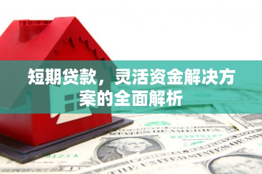 龙沙短期贷款，灵活资金解决方案的全面解析