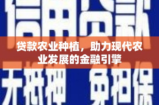 龙沙贷款农业种植，助力现代农业发展的金融引擎
