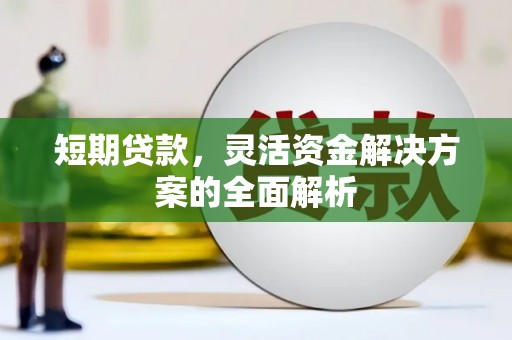 龙沙短期贷款，灵活资金解决方案的全面解析