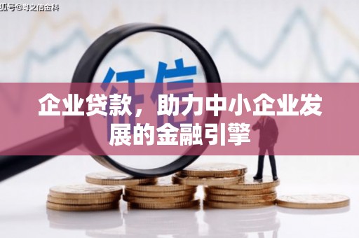 龙沙企业贷款，助力中小企业发展的金融引擎