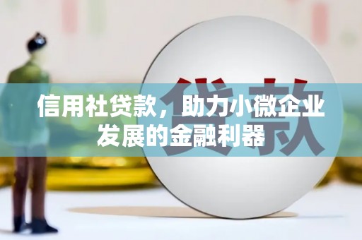 龙沙信用社贷款，助力小微企业发展的金融利器