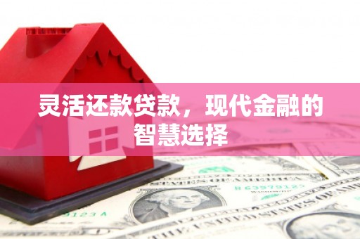 龙沙灵活还款贷款，现代金融的智慧选择