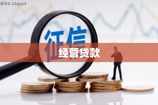 龙沙经营贷款