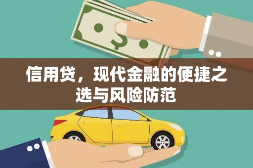 龙沙信用贷，现代金融的便捷之选与风险防范