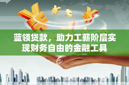 龙沙蓝领贷款，助力工薪阶层实现财务自由的金融工具