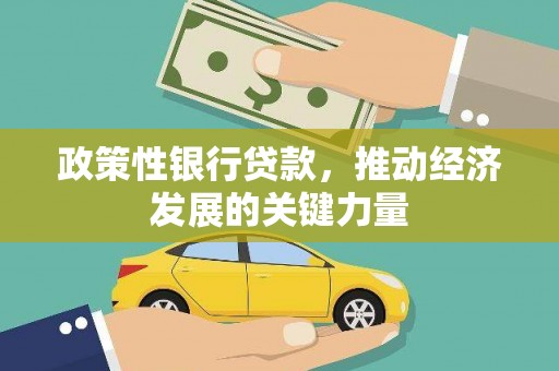 龙沙政策性银行贷款，推动经济发展的关键力量