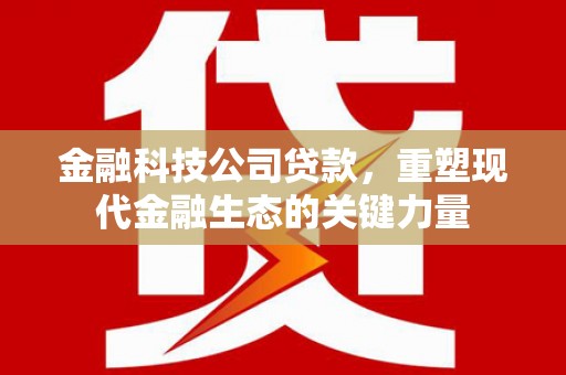 龙沙金融科技公司贷款，重塑现代金融生态的关键力量