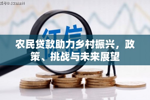 龙沙农民贷款助力乡村振兴，政策、挑战与未来展望