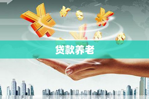 龙沙贷款养老
