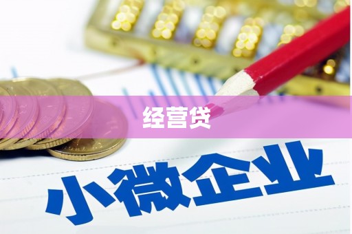 龙沙经营贷
