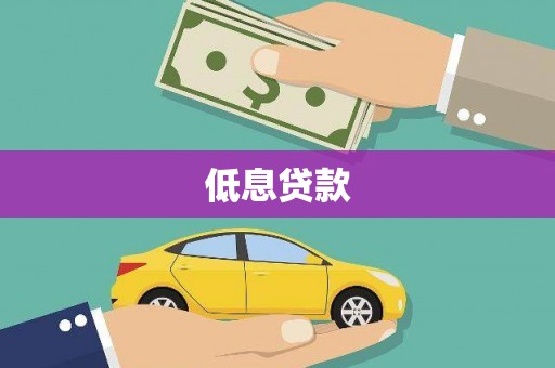 龙沙低息贷款