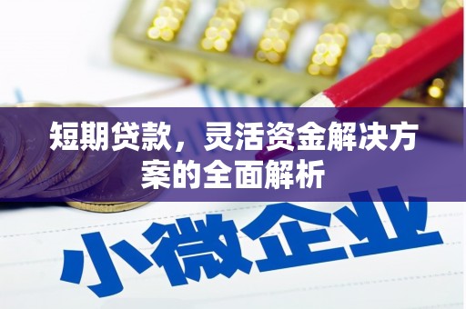 龙沙短期贷款，灵活资金解决方案的全面解析