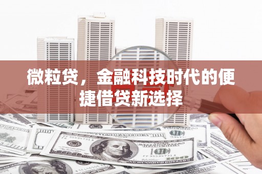 龙沙微粒贷，金融科技时代的便捷借贷新选择