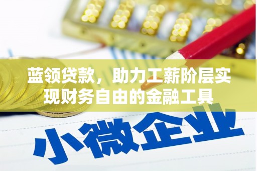 龙沙蓝领贷款，助力工薪阶层实现财务自由的金融工具