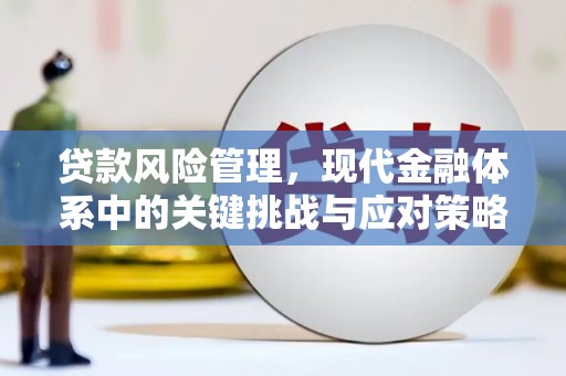 龙沙贷款风险管理，现代金融体系中的关键挑战与应对策略