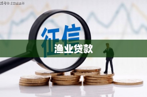 龙沙渔业贷款