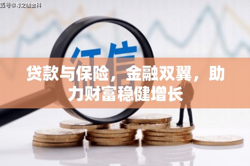 龙沙贷款与保险，金融双翼，助力财富稳健增长