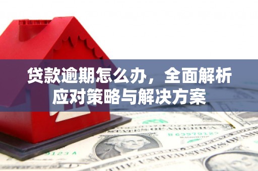 龙沙贷款逾期怎么办，全面解析应对策略与解决方案
