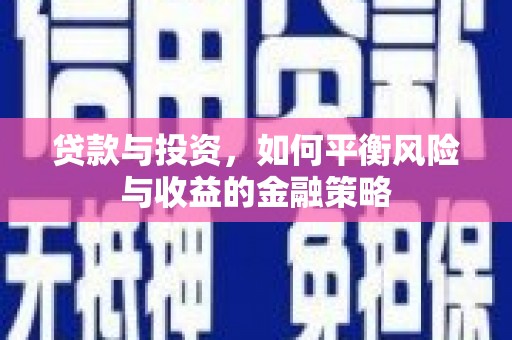 龙沙贷款与投资，如何平衡风险与收益的金融策略